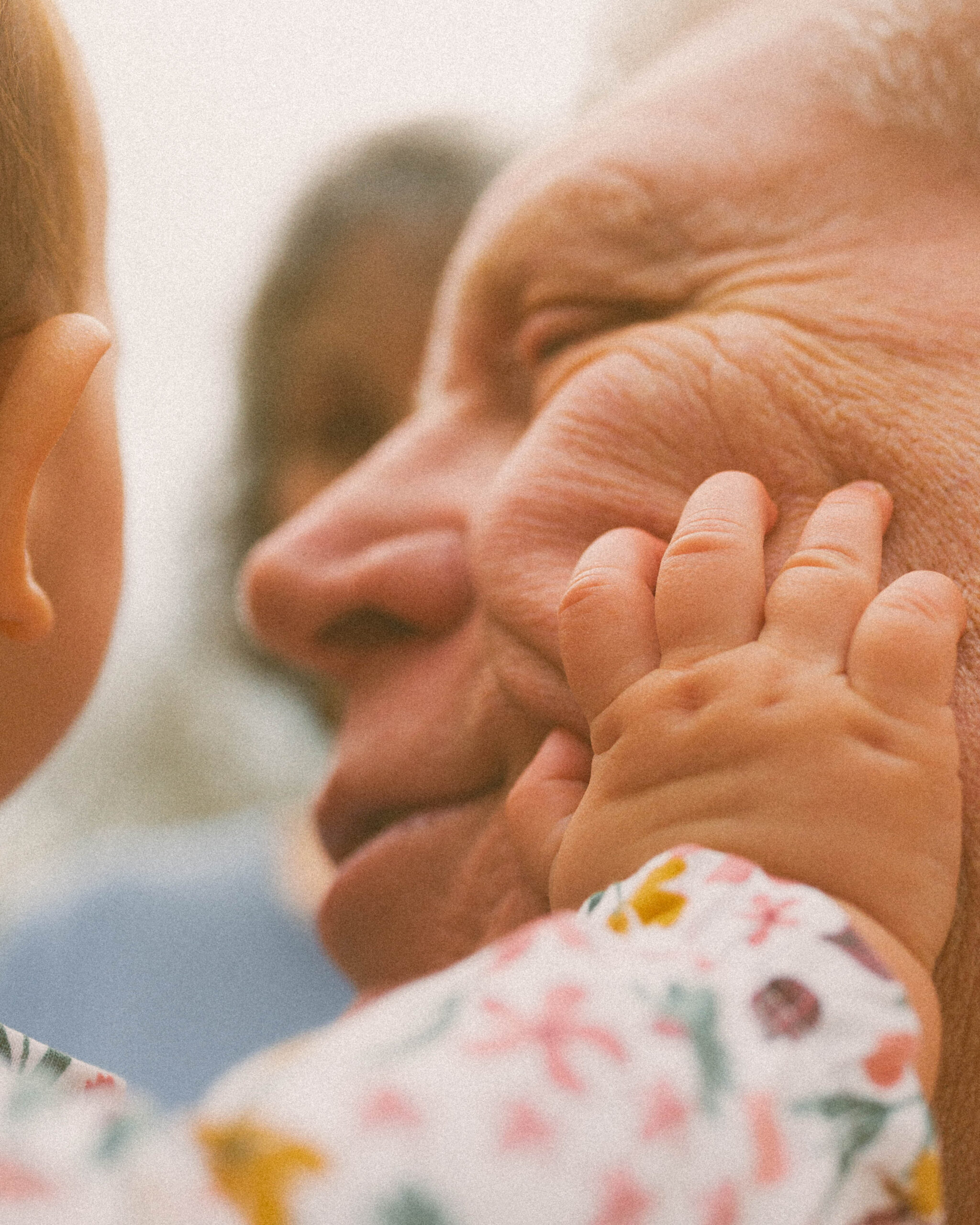 Grandparents and family dogs gathered with their 6-month-old grandchild during a candid extended family session in Columbia, MO