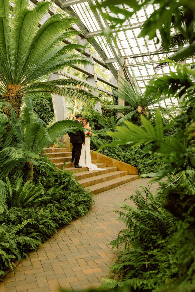 bride and groom take a moment on stairs of fern room in garfield park conservatory after getting married