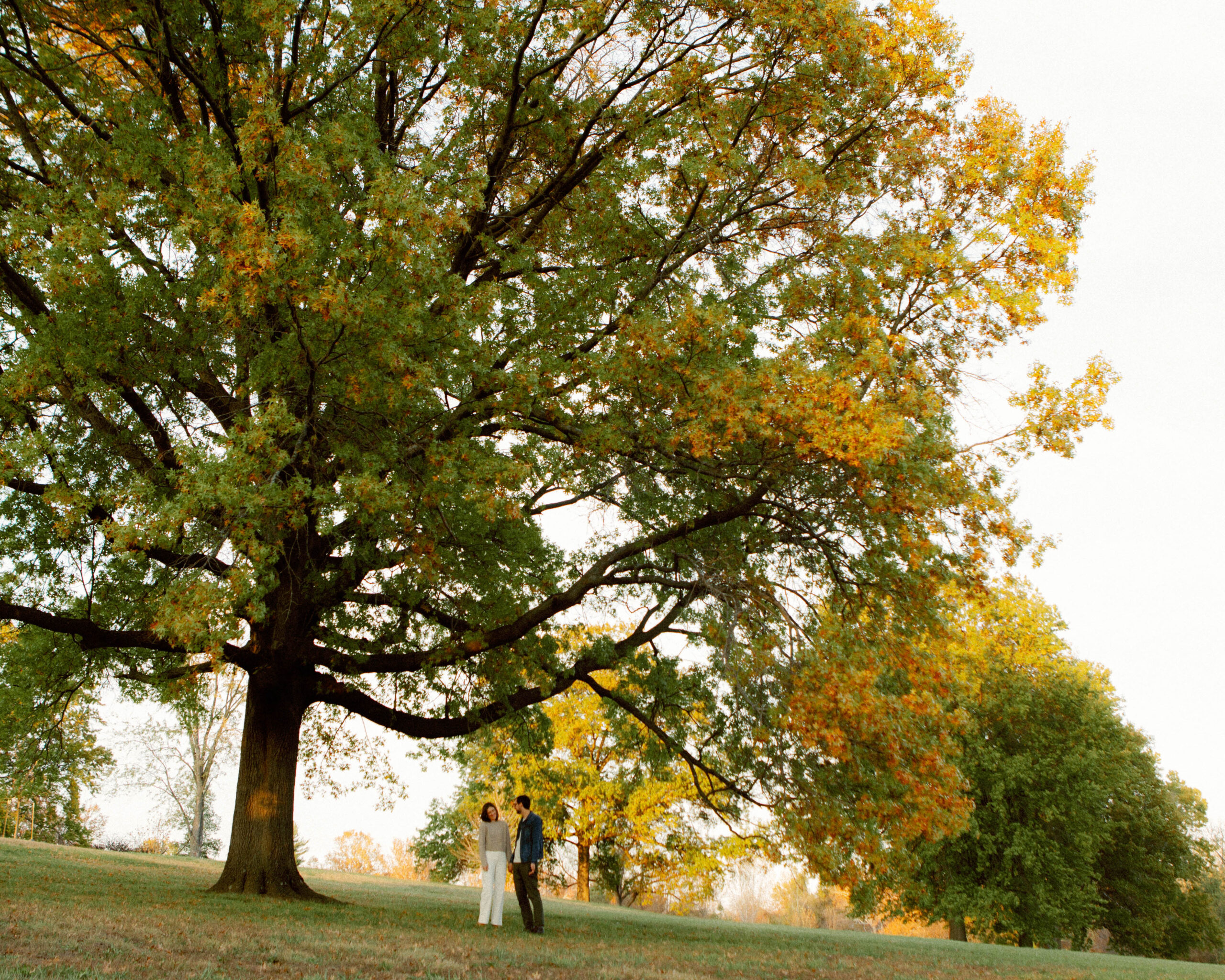 couple stands under matured oak tree at stephens lake park during documentary engagement session