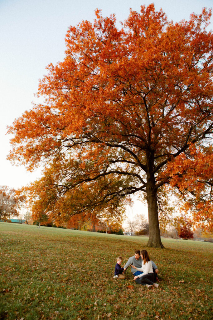 Family photo session at Stephens Lake Park Columbia MO with oak trees and open fields